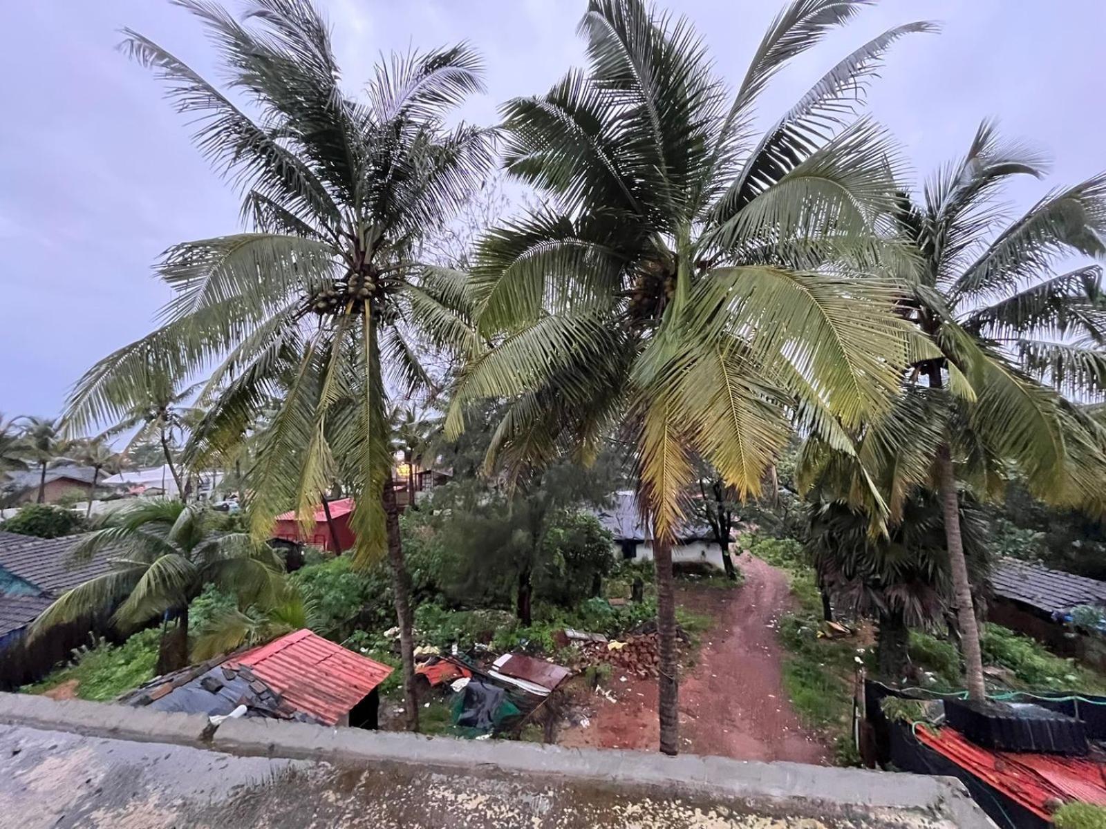 Hotel Saffron Baga Bagian luar foto
